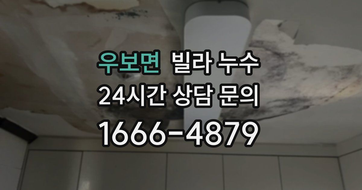 우보면 빌라 누수
