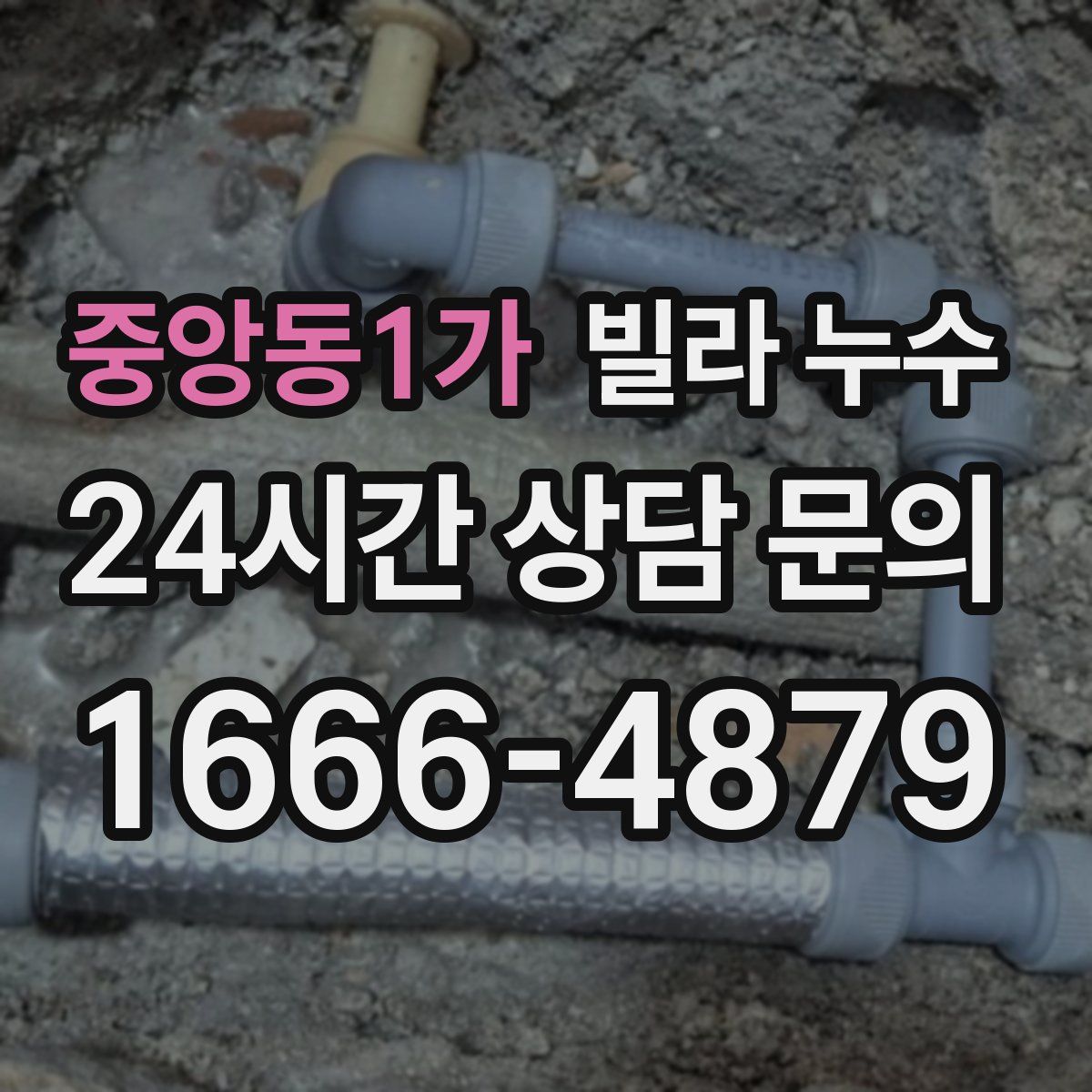 중앙동1가 빌라 누수