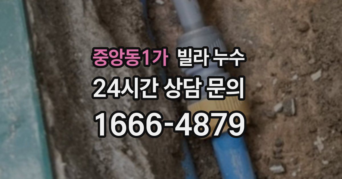 중앙동1가 빌라 누수