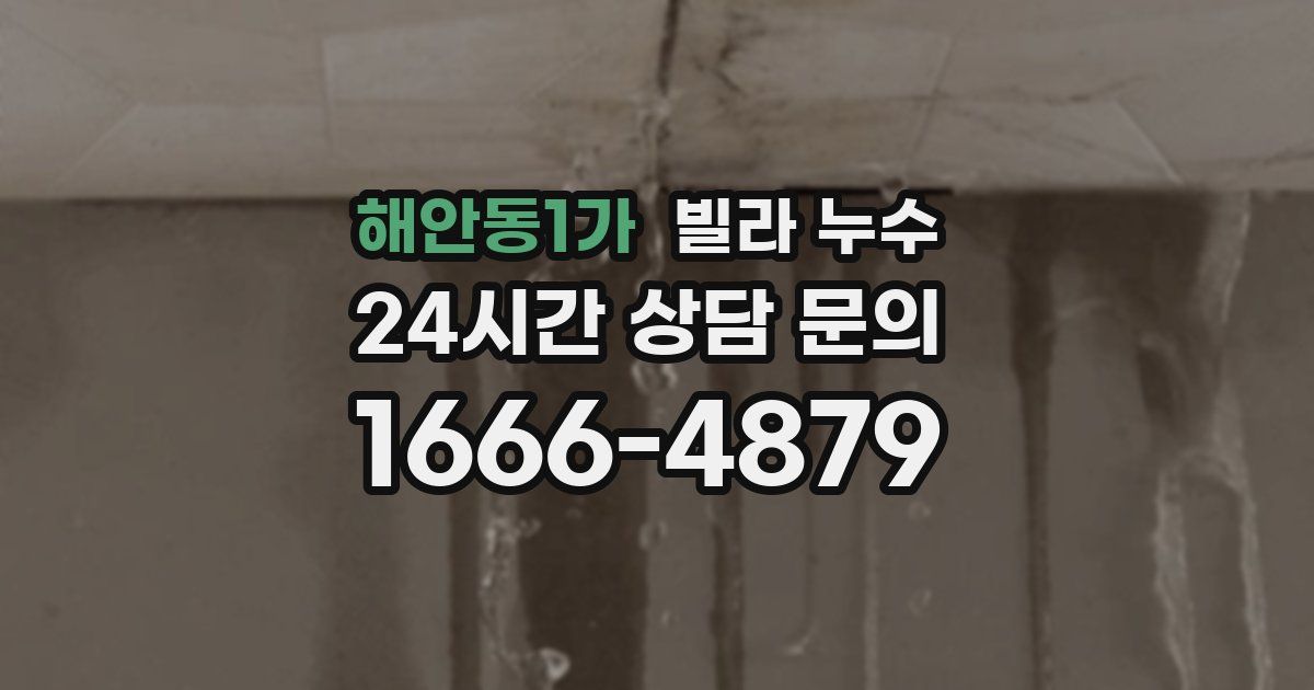 해안동1가 빌라 누수