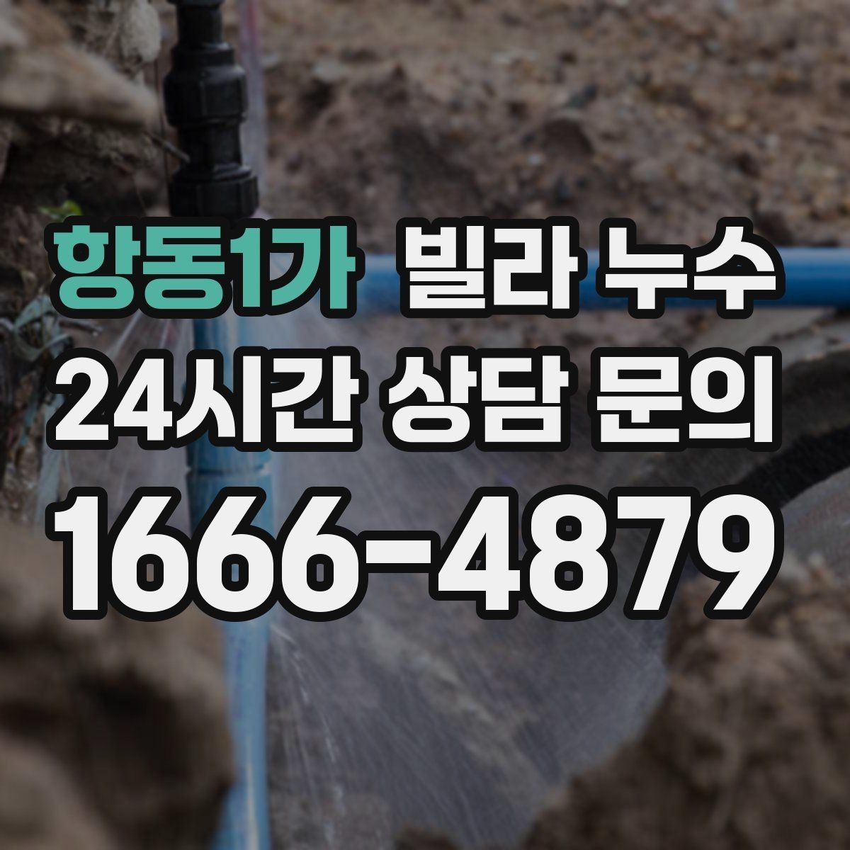 항동1가 빌라 누수 누수는 원인부터 잡아야 끝납니다