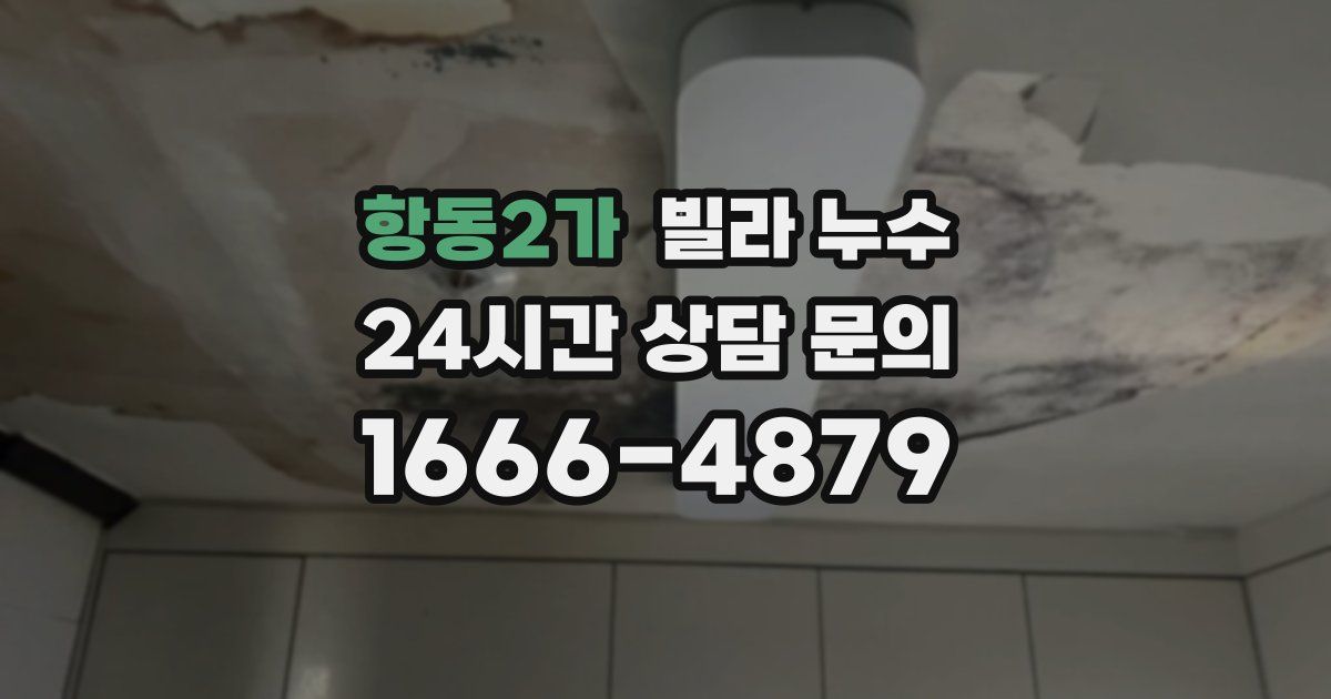 항동2가 빌라 누수