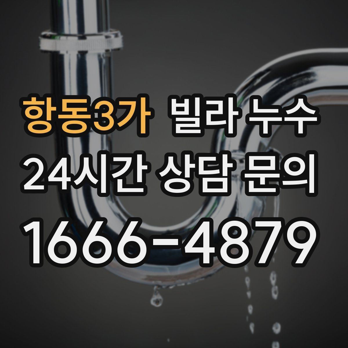 항동3가 빌라 누수 화장실 벽이 젖는다면 방수·배관 점검