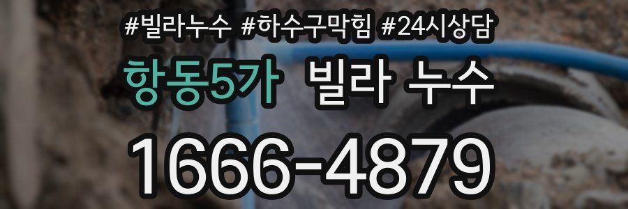 항동5가 빌라 누수