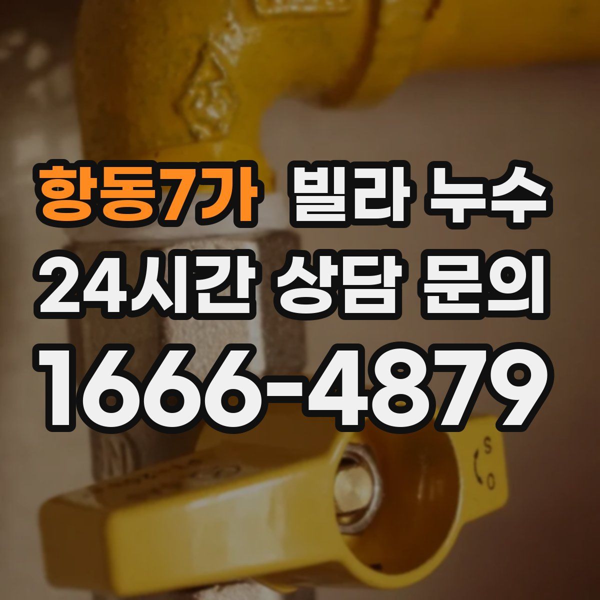 항동7가 빌라 누수