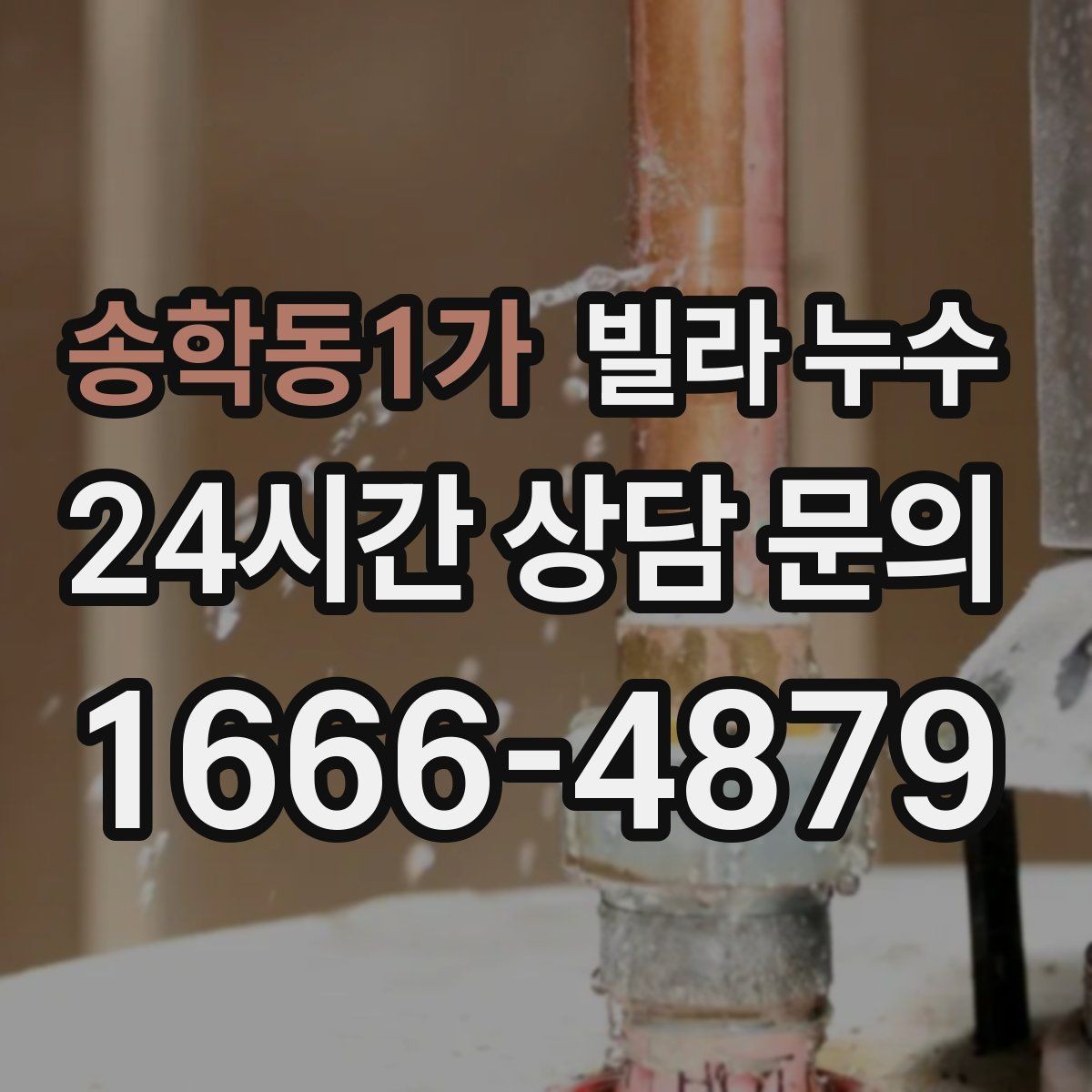 송학동1가 빌라 누수 세탁실 배수구가 넘치면 누수처럼 보일 수 있어요