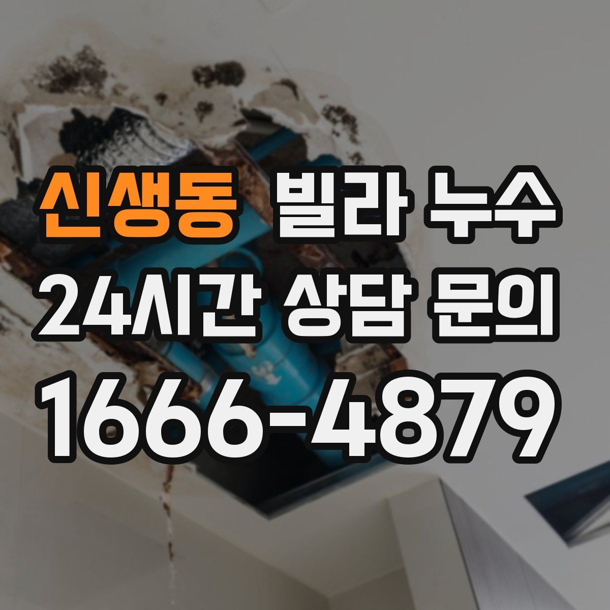 신생동 빌라 누수