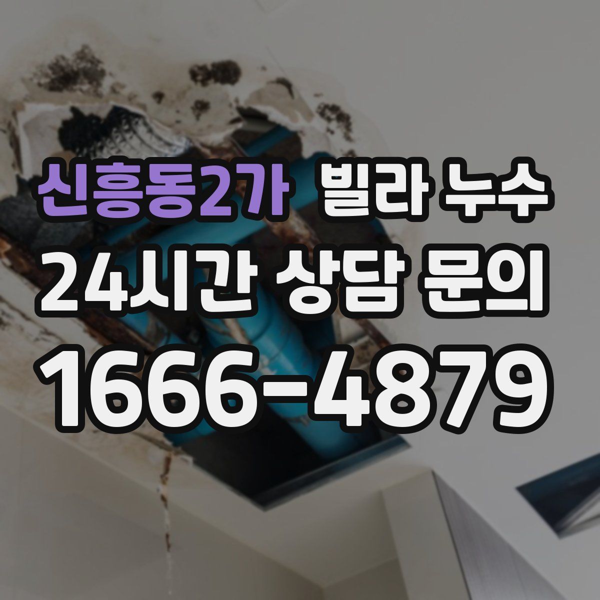 신흥동2가 빌라 누수