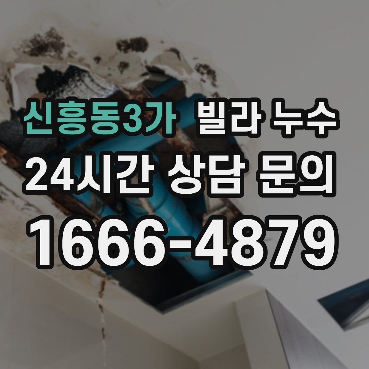 신흥동3가 빌라 누수 공동현관 쪽 벽이 젖는다면 외부 유입 가능성