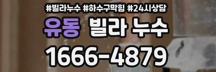 유동 빌라 누수