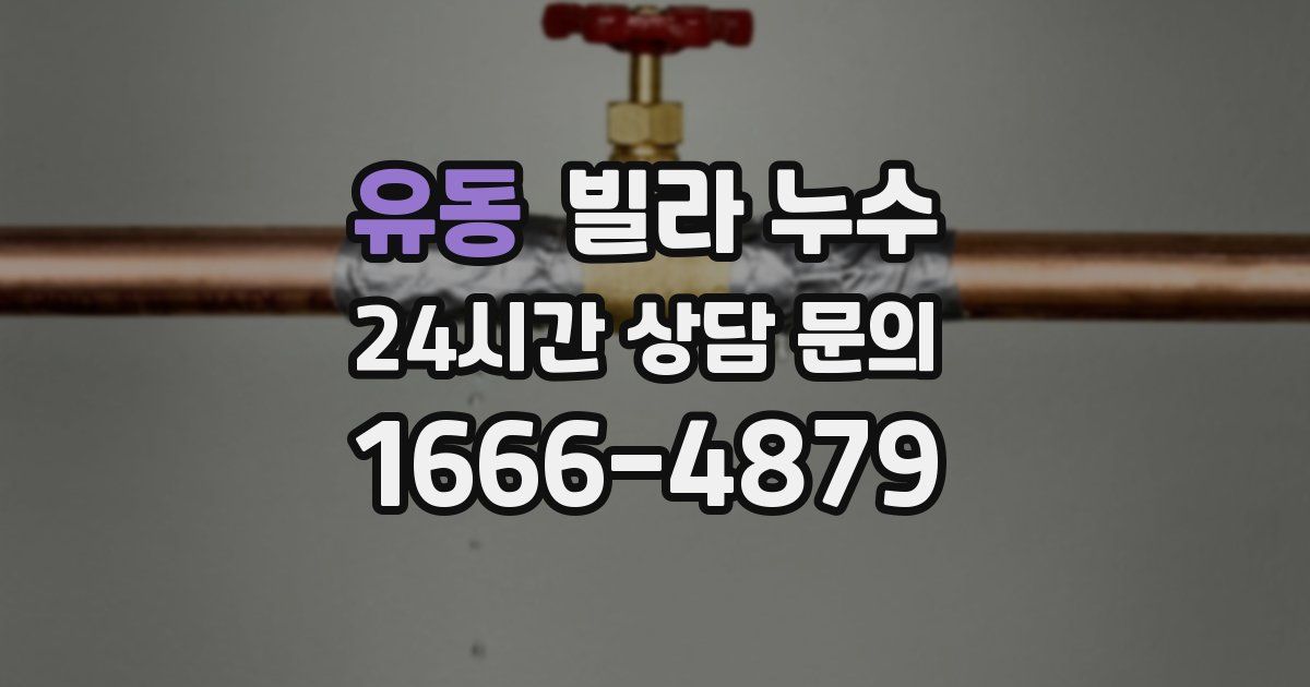 유동 빌라 누수