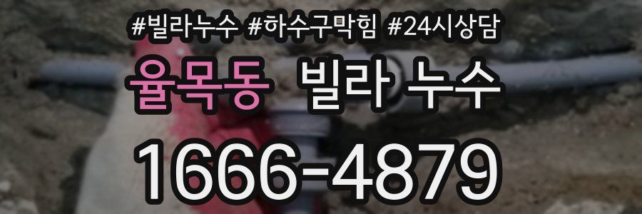 율목동 빌라 누수