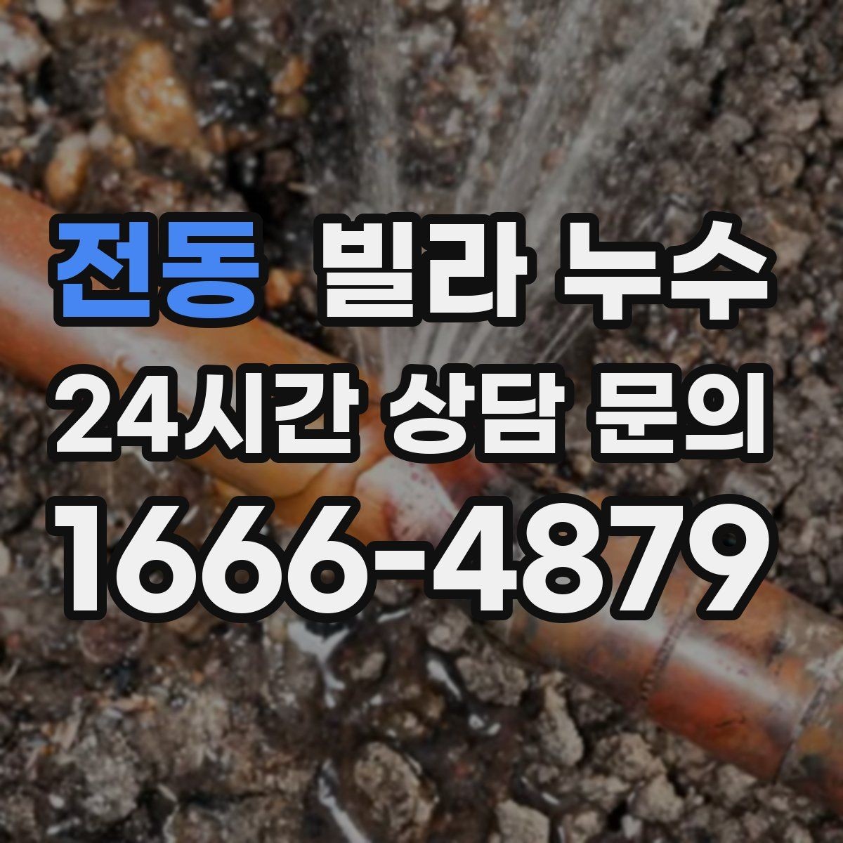 전동 빌라 누수 욕실 타일 사이 물스밈이 늘었다면