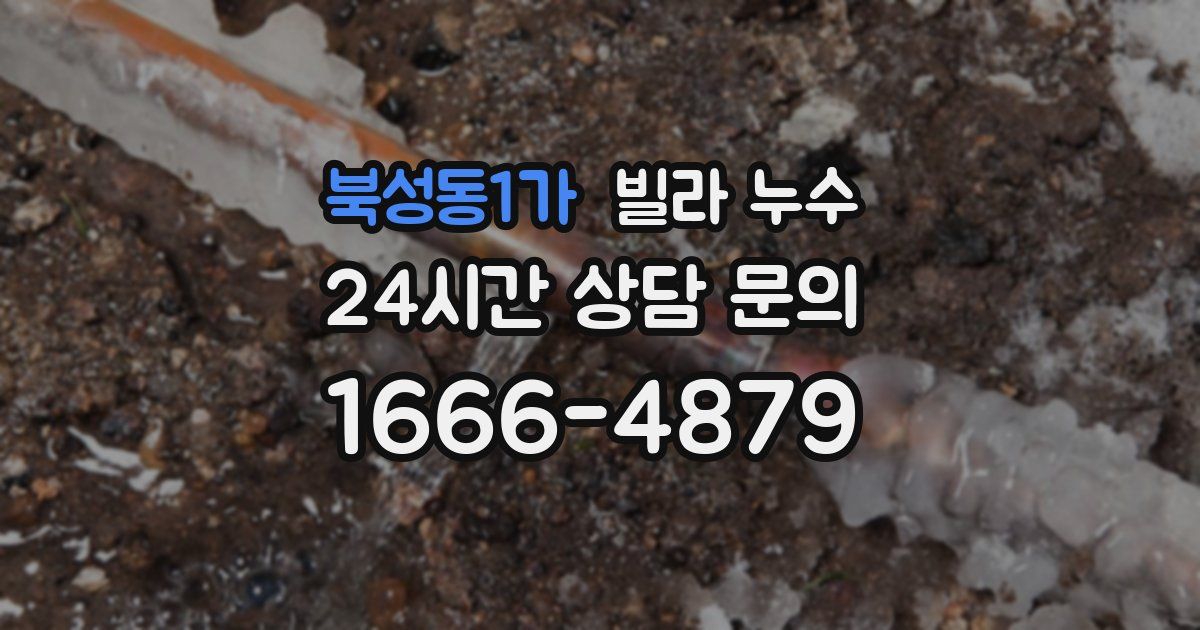 북성동1가 빌라 누수