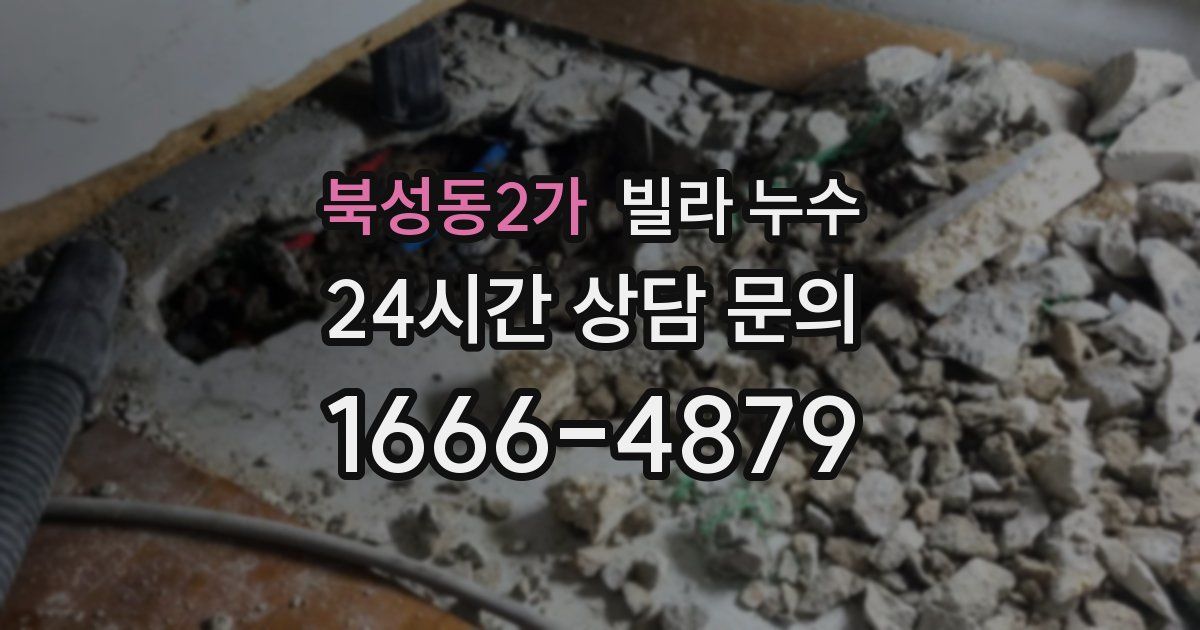 북성동2가 빌라 누수