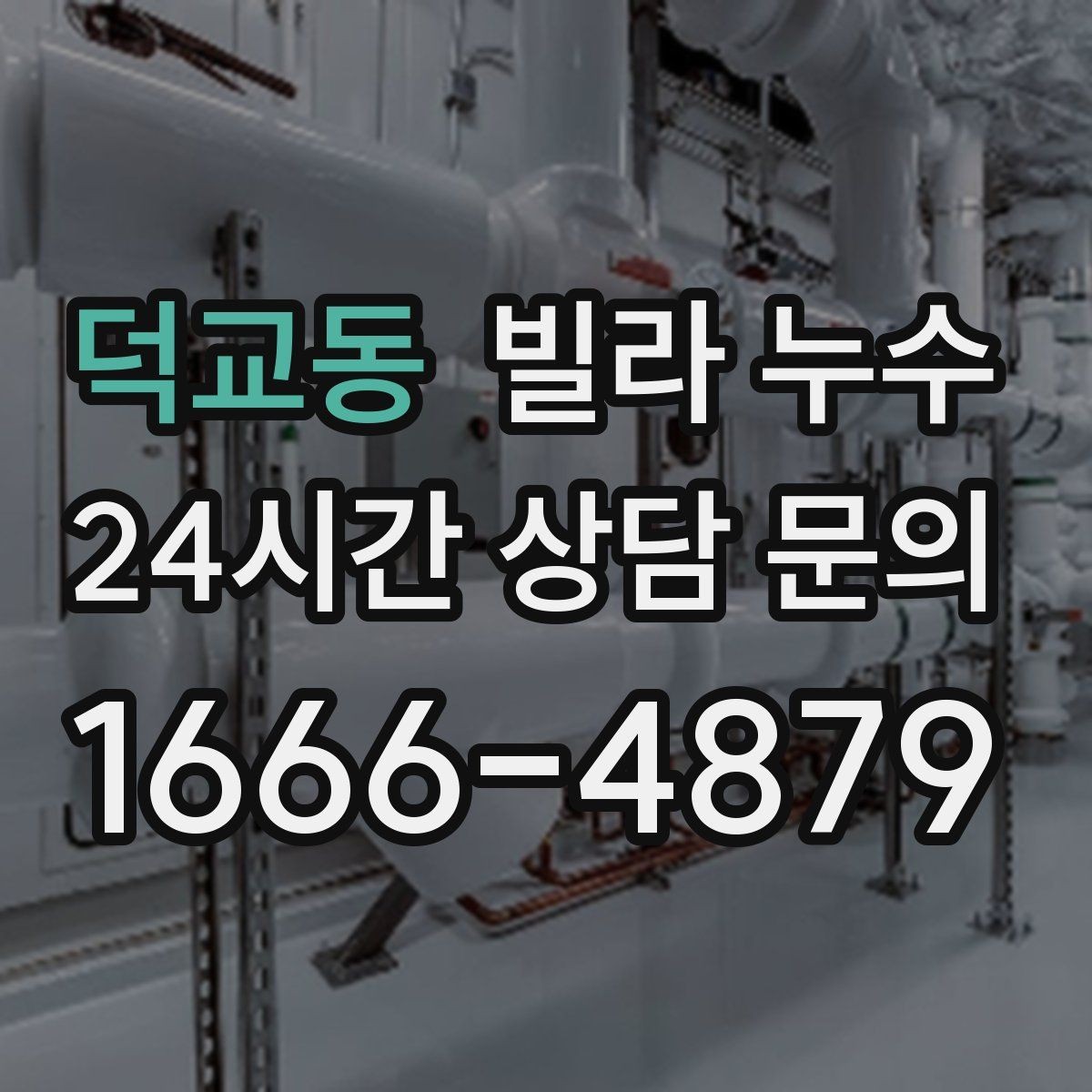 덕교동 빌라 누수 배수구 역류가 누수처럼 보일 때