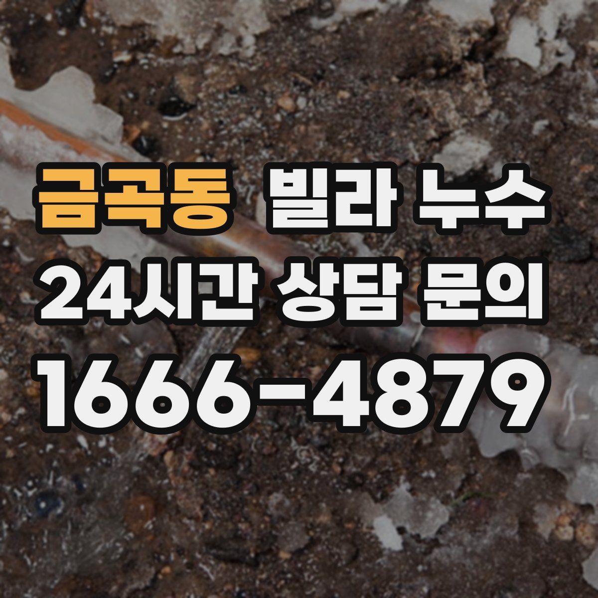 금곡동 빌라 누수