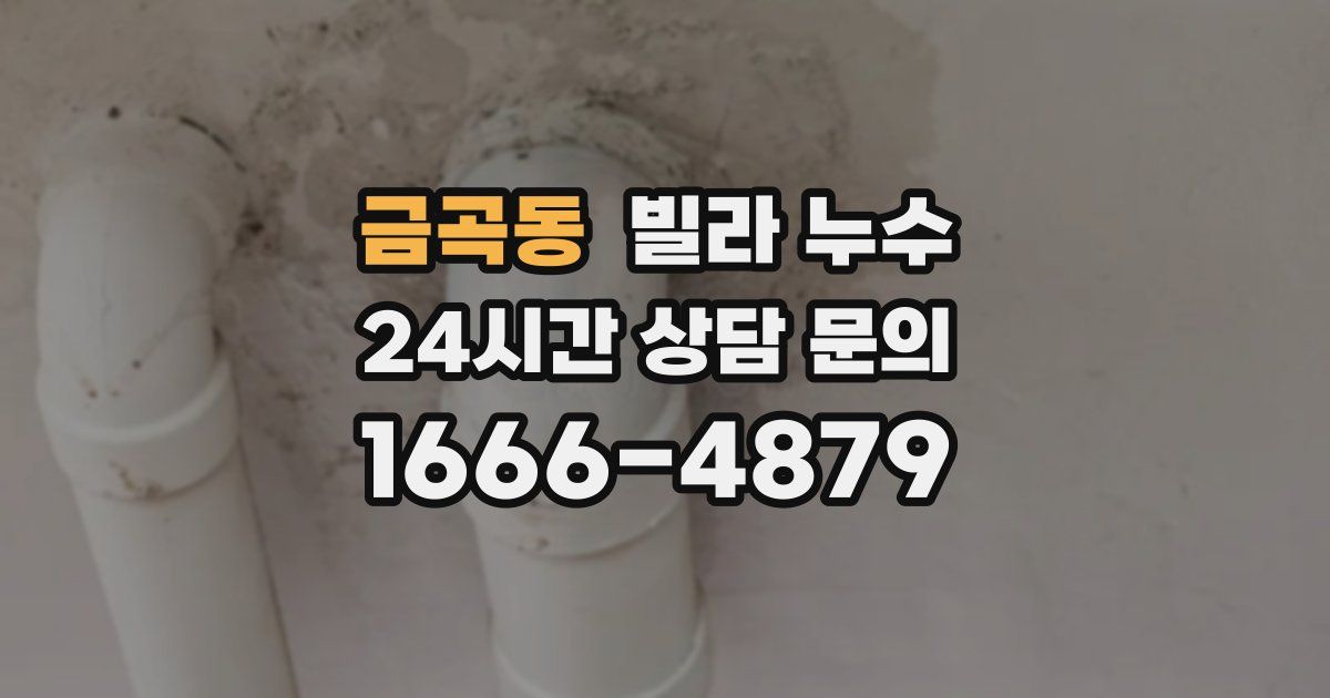 금곡동 빌라 누수