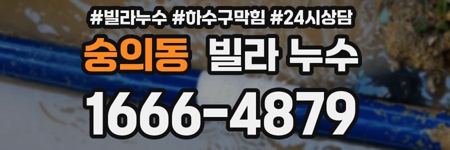 숭의동 빌라 누수