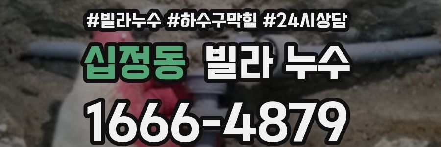 십정동 빌라 누수