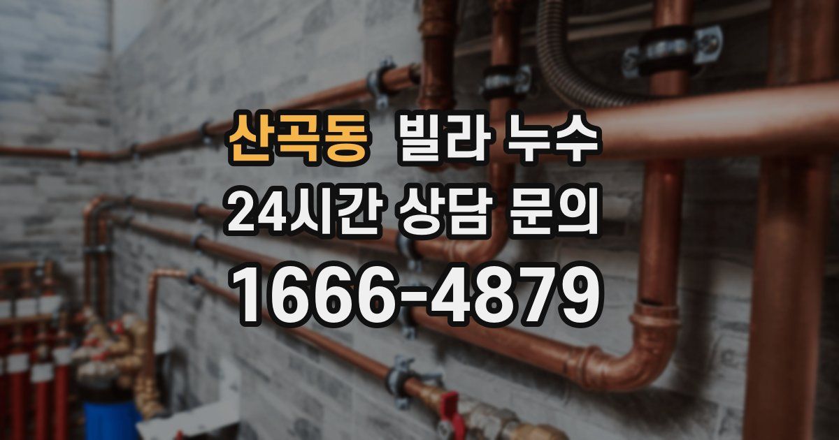 산곡동 빌라 누수