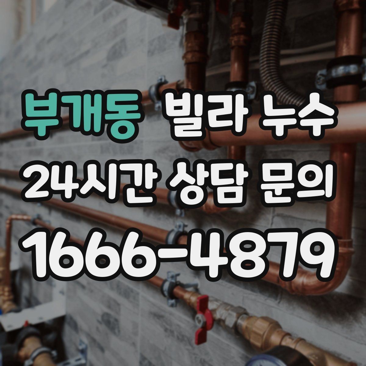 부개동 빌라 누수 배수관 문제로 벽이 젖는 경우 정리