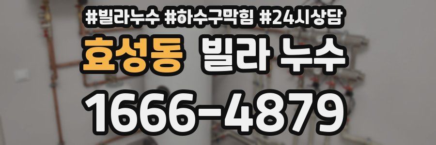 효성동 빌라 누수