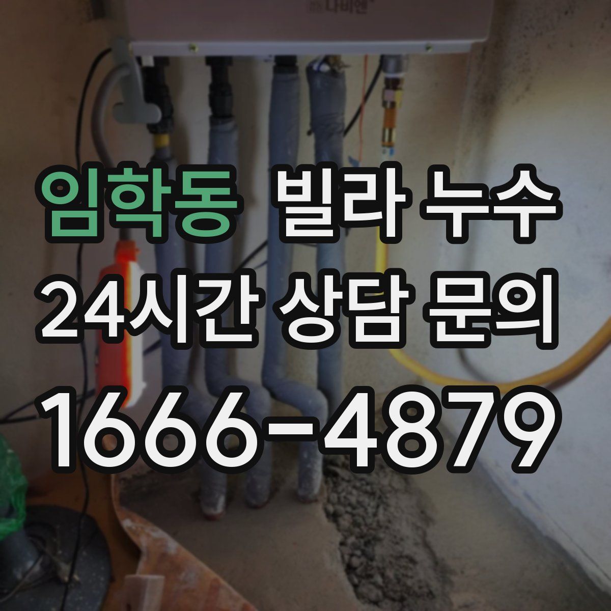 임학동 빌라 누수