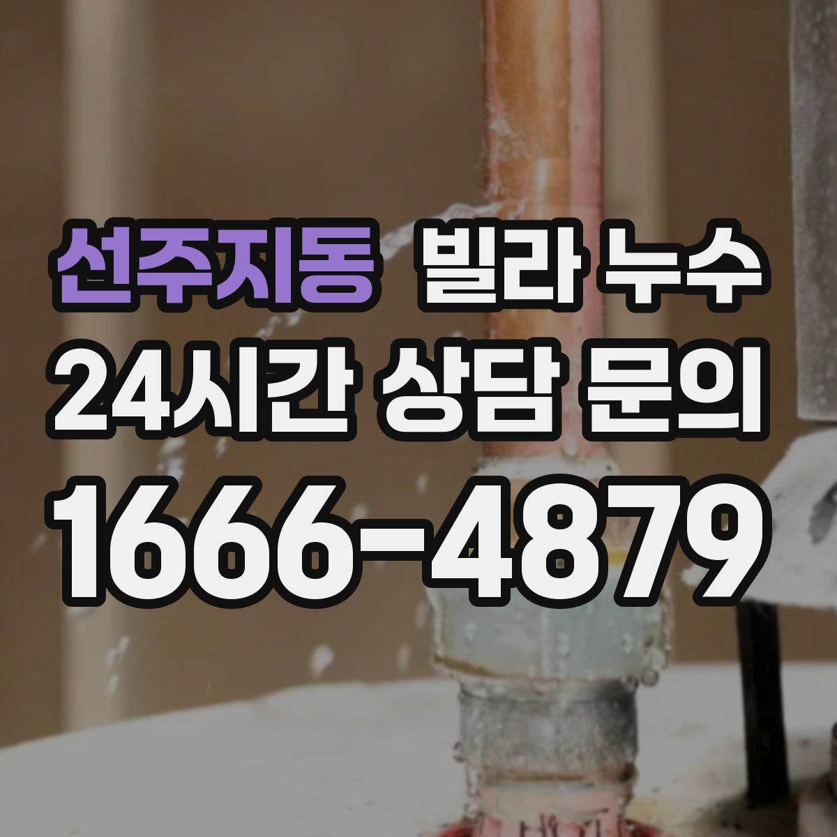 선주지동 빌라 누수