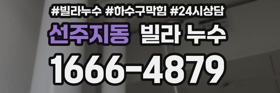 선주지동 빌라 누수