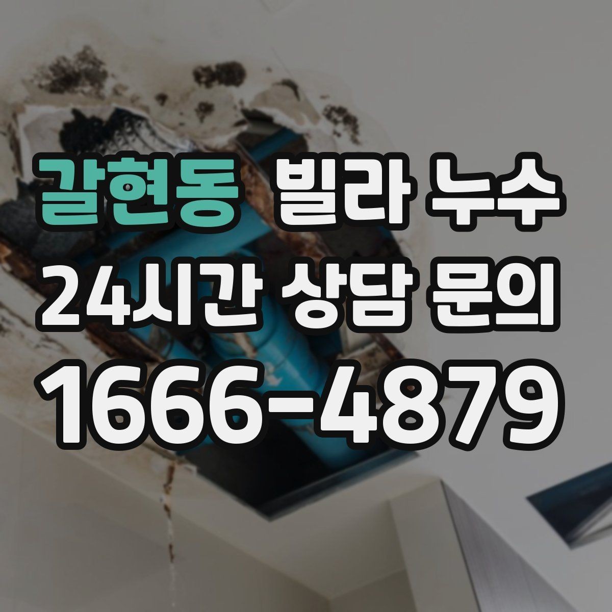 갈현동 빌라 누수 장판 아래가 축축할 때 확인할 것