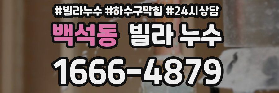 백석동 빌라 누수