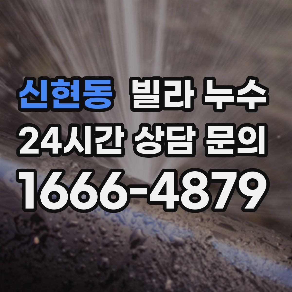 신현동 빌라 누수 배수관 문제로 벽이 젖는 경우 정리