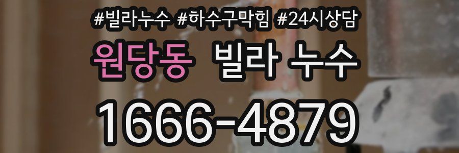 원당동 빌라 누수