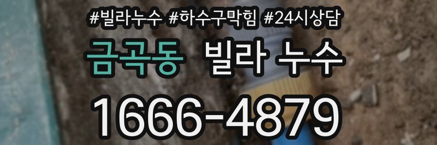 금곡동 빌라 누수