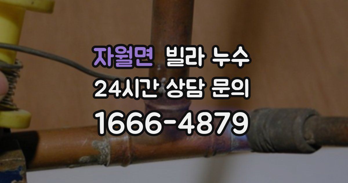 자월면 빌라 누수