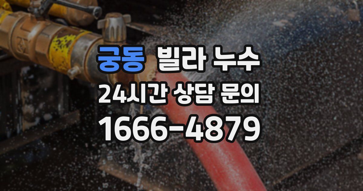 궁동 빌라 누수