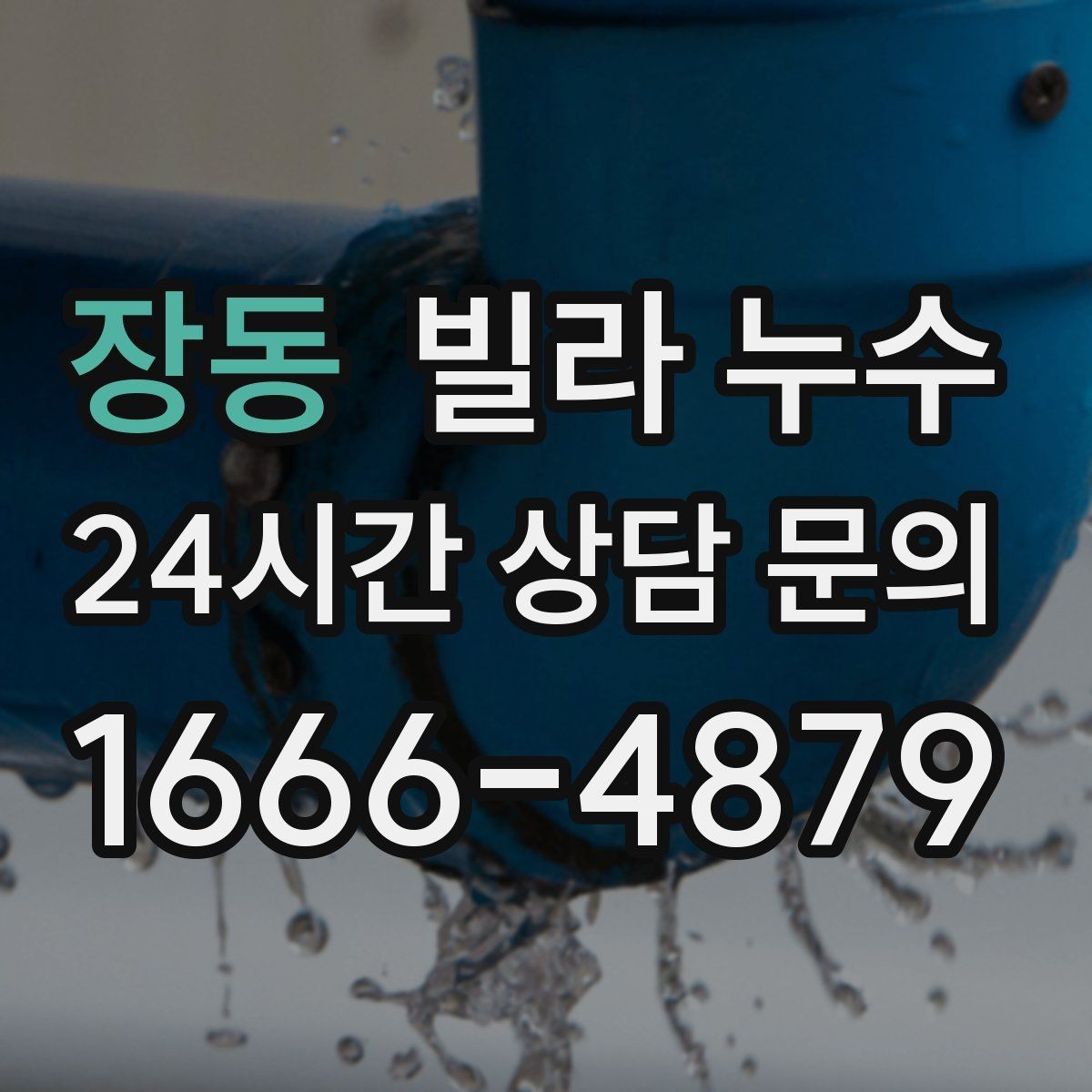장동 빌라 누수 외벽 타일 사이로 물이 스며드는 경우