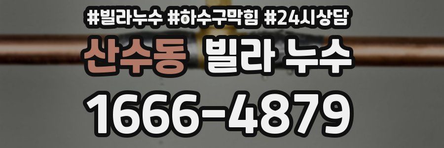 산수동 빌라 누수