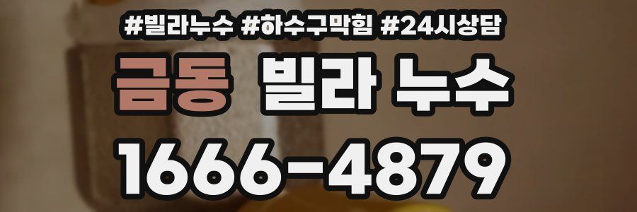 금동 빌라 누수