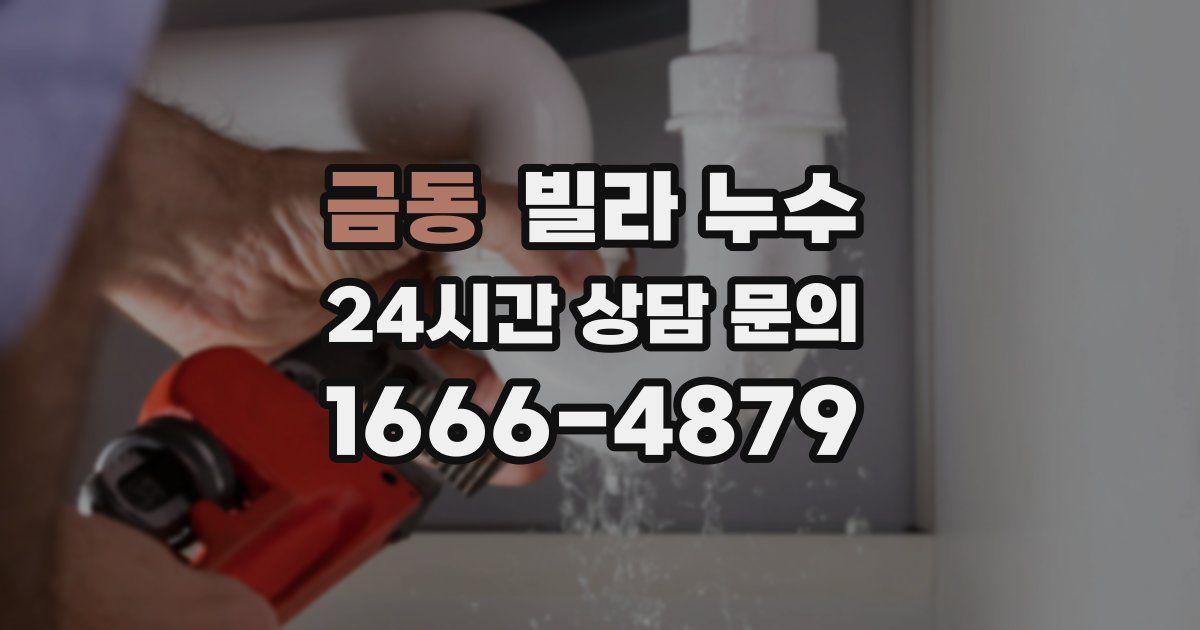 금동 빌라 누수