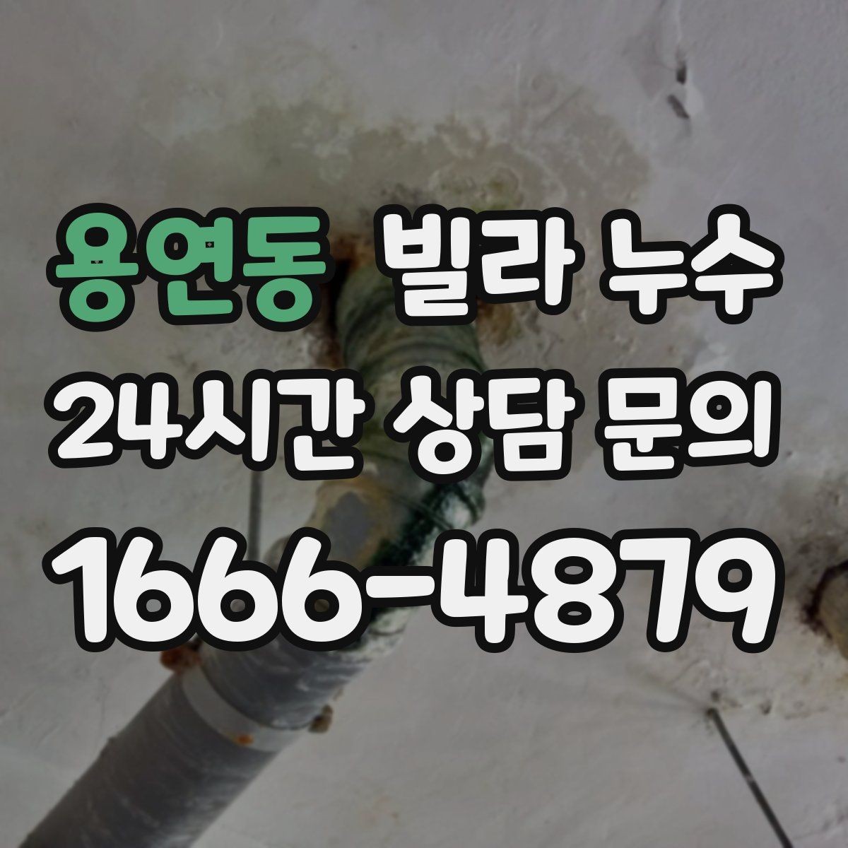 용연동 빌라 누수 천장 주변에서 퀴퀴한 냄새가 올라올 때