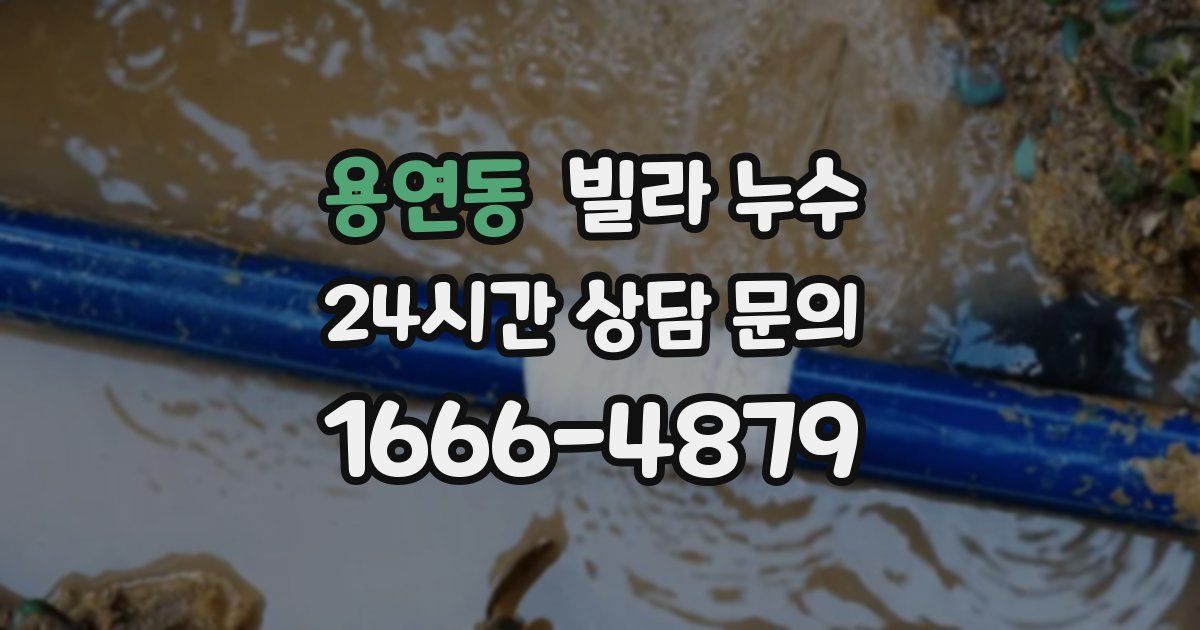 용연동 빌라 누수