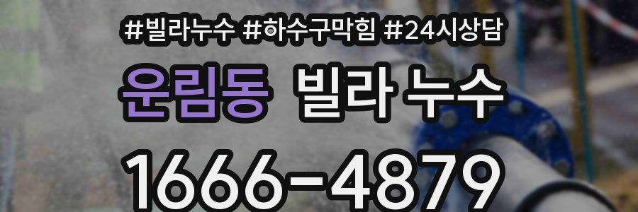 운림동 빌라 누수