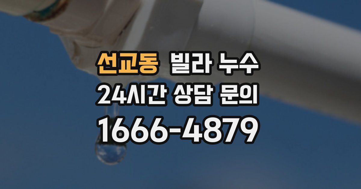 선교동 빌라 누수