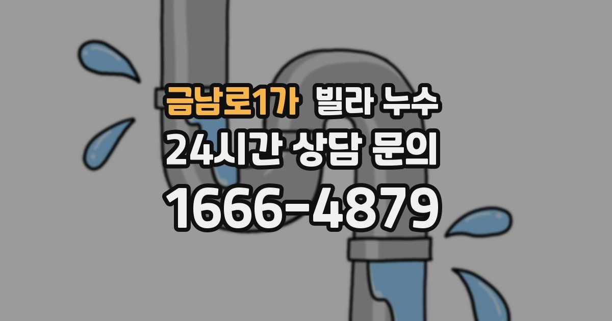 금남로1가 빌라 누수