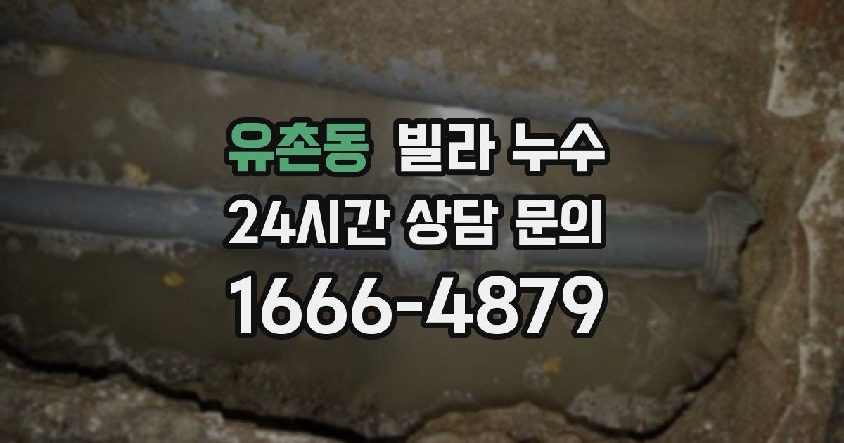 유촌동 빌라 누수