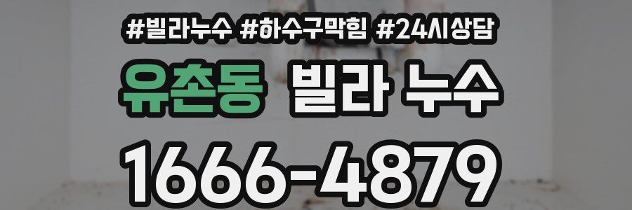 유촌동 빌라 누수