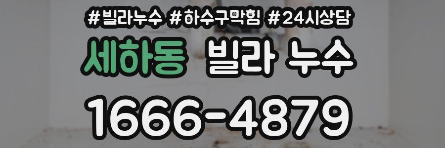 세하동 빌라 누수
