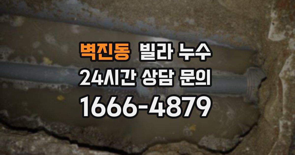 벽진동 빌라 누수